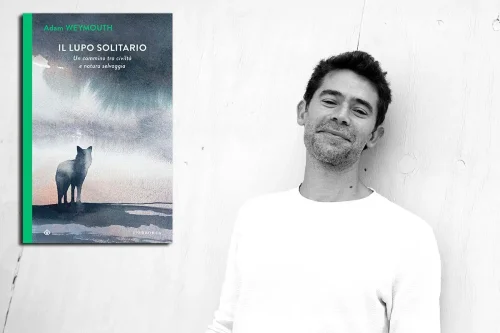 Il-Lupo-Solitario-Adam-Weymouth.jpg