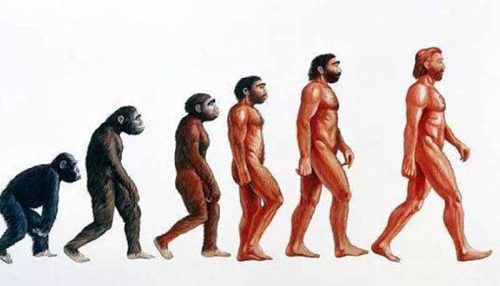 evoluzione-uomo-descrizione